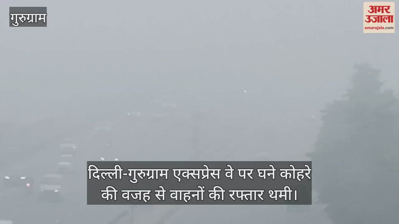 VIDEO : Dense fog looms in Gurugram