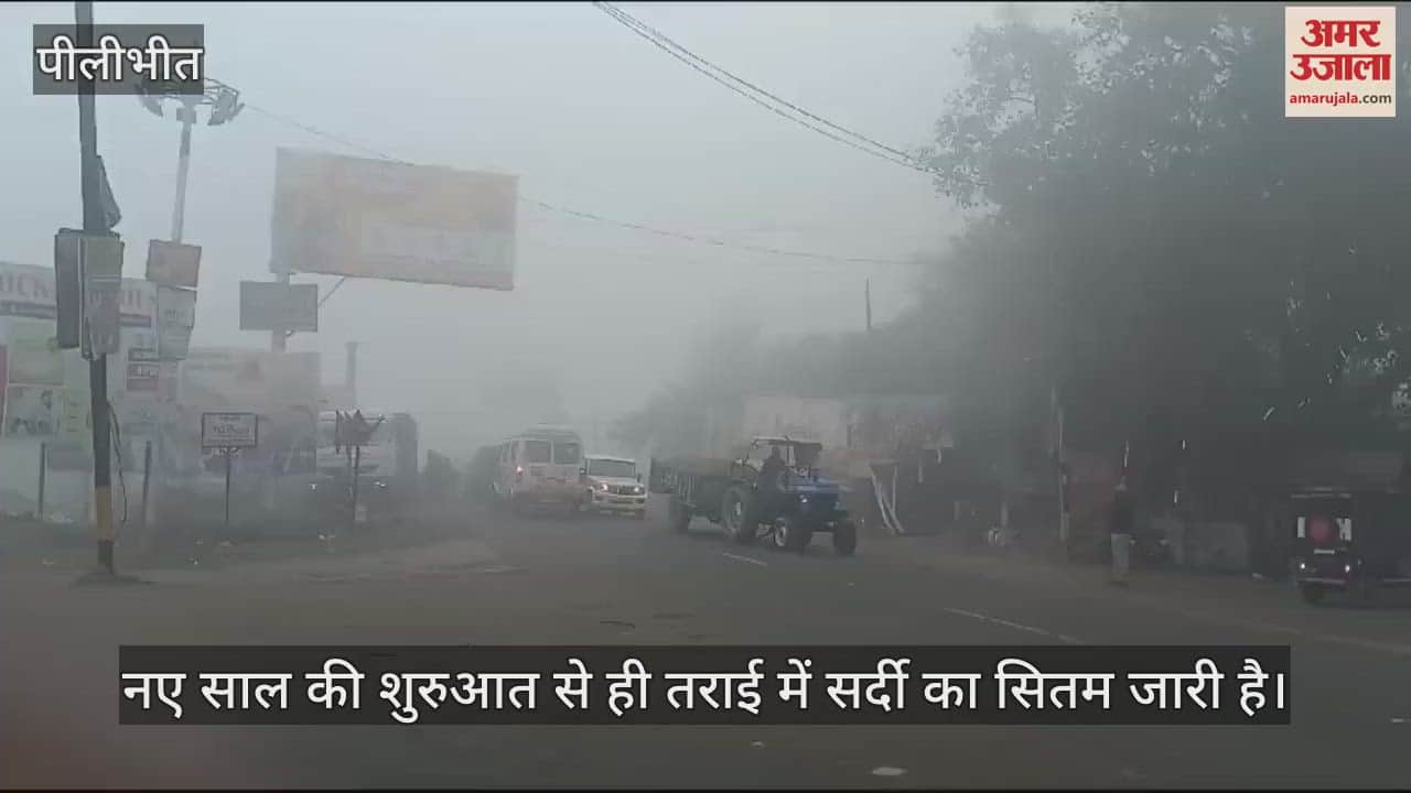 VIDEO : कोहरे की चादर में लिपटा पीलीभीत, शीतलहर से कांपे लोग