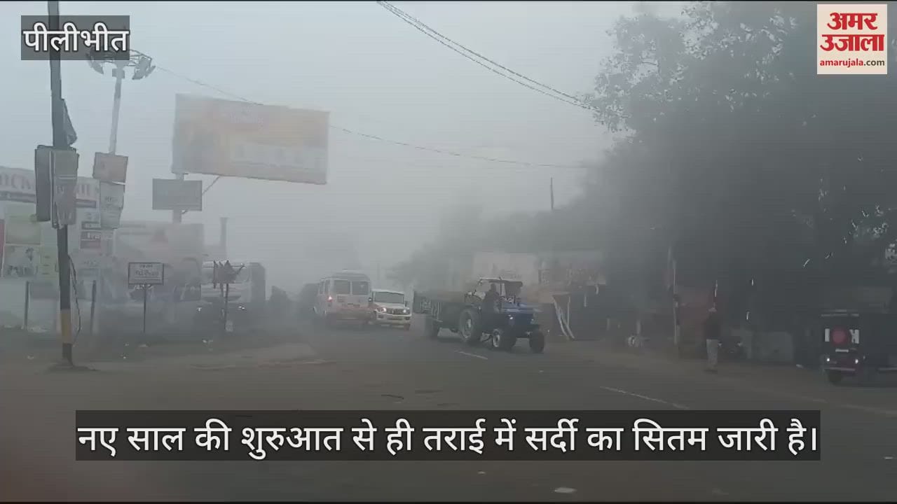 VIDEO : कोहरे की चादर में लिपटा पीलीभीत, शीतलहर से कांपे लोग