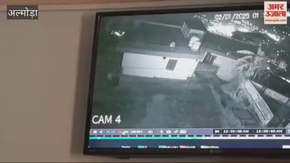 VIDEO : अल्मोड़ा...कॉलोनी में घुसकर तेंदुए ने किया दो कुत्तों का शिकार, एक को मुंह में दबाकर उठा ले गया; दहशत में लोग