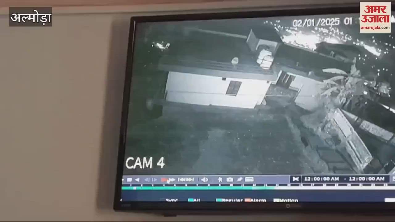 VIDEO : अल्मोड़ा...कॉलोनी में घुसकर तेंदुए ने किया दो कुत्तों का शिकार, एक को मुंह में दबाकर उठा ले गया; दहशत में लोग