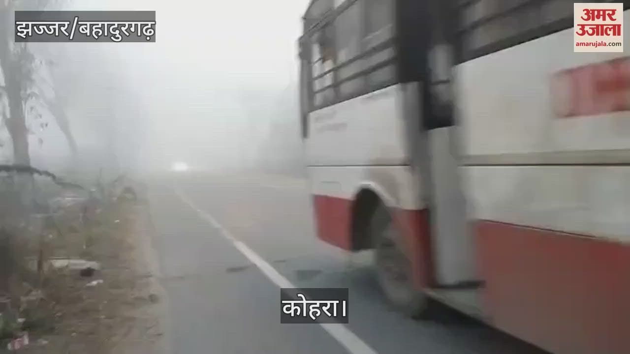 VIDEO : Fog slowed down speed in Jhajjar, frost also fell