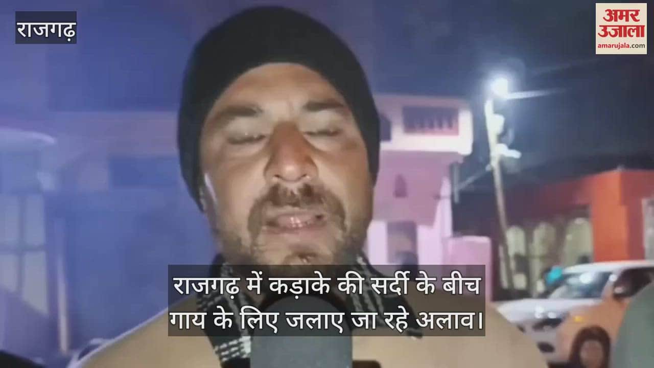 amidst the severe cold the cows roaming on the streets got the support of bonfire