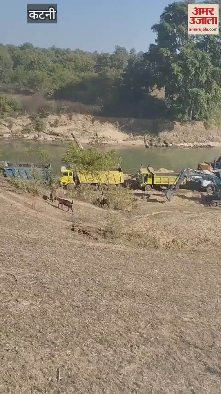 Video of illegal sand excavation goes viral in katni