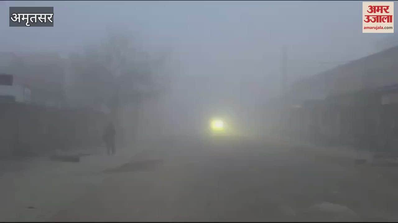 VIDEO : Fog in Amritsar