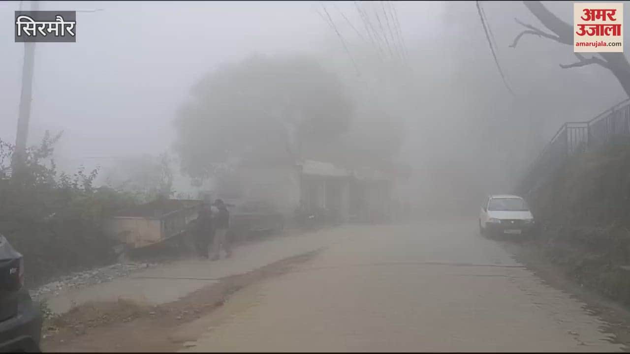 VIDEO : Fog greets cold in the plains of Nahan
