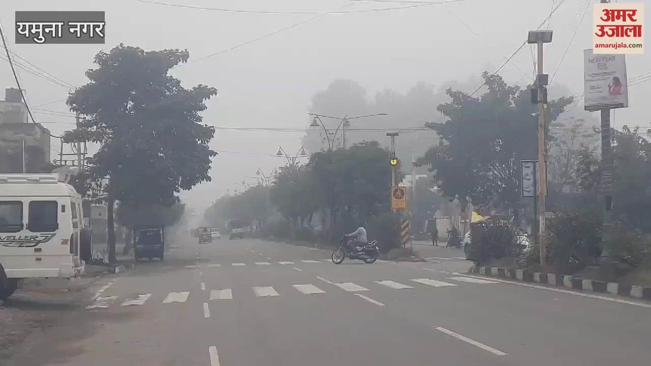 VIDEO : There was no sunshine in Yamunanagar, cold winds increased the chill