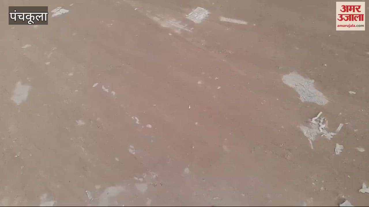 VIDEO : Charging stations not installed at Panchkula bus stand, operation of 45 electric buses stopped