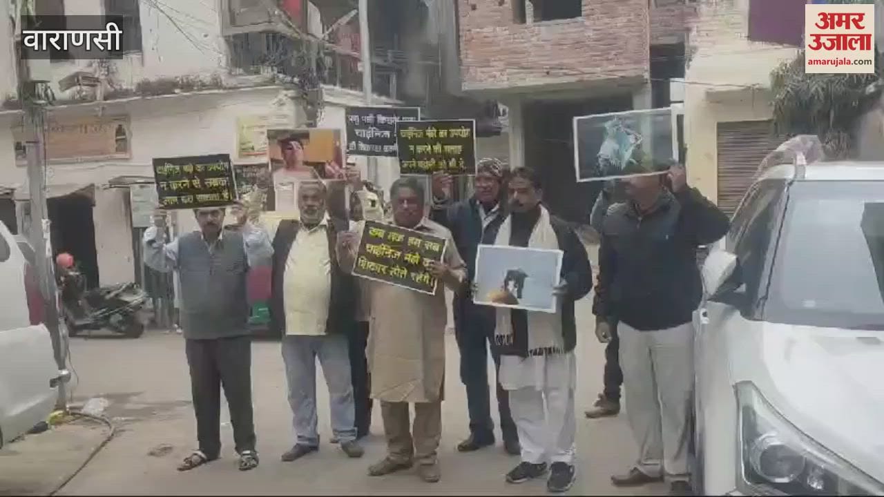VIDEO : Chinese Manjha taking lives in india appeal ban it people made aware