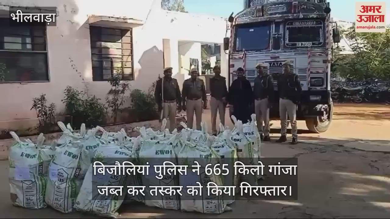 Rajasthan News: bijoliya police seized 665kg ganja in Bhilwara crime news