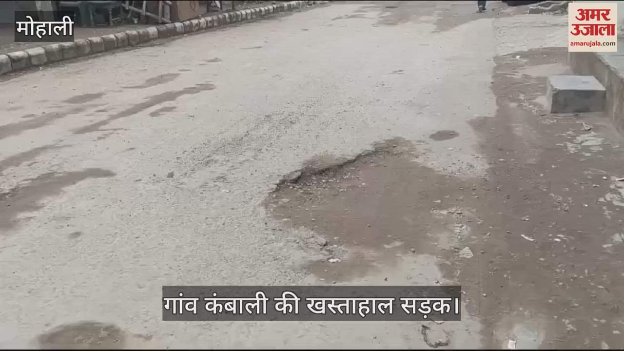 VIDEO : मोहाली में खस्ताहाल सडक, लोगों का चलना मुश्किल