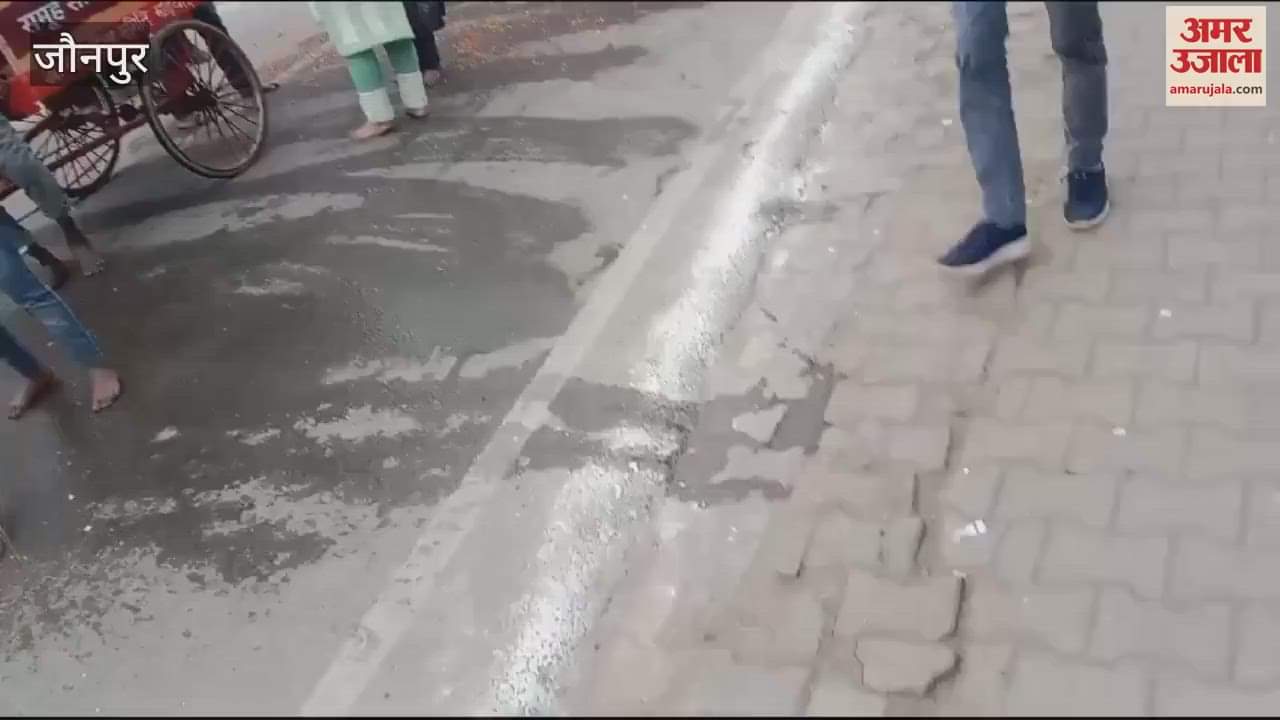 VIDEO : grand procession taken out in Madiyahun Prakash Parv welcomed various places