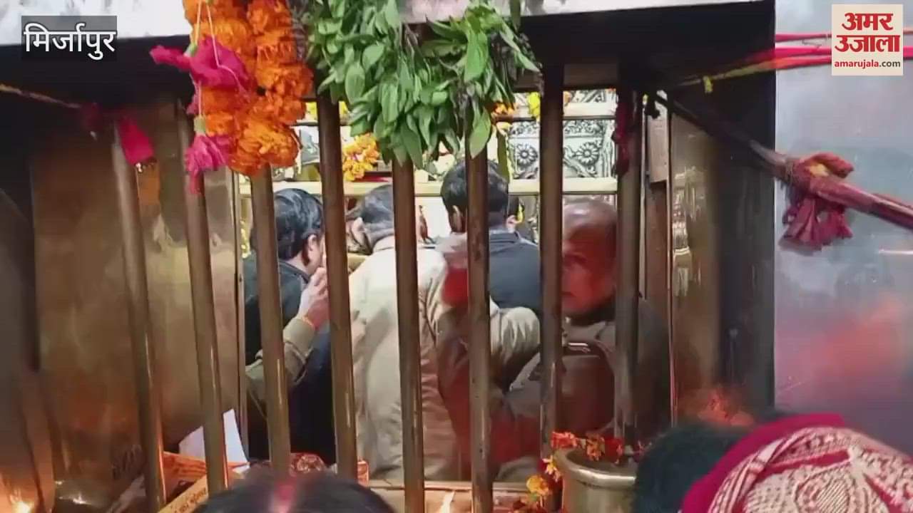 VIDEO : On second day new year 2025 devotees gathered visit Maa Vindhyavasini