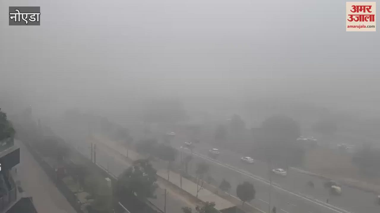VIDEO : Fog looms in Greater Noida