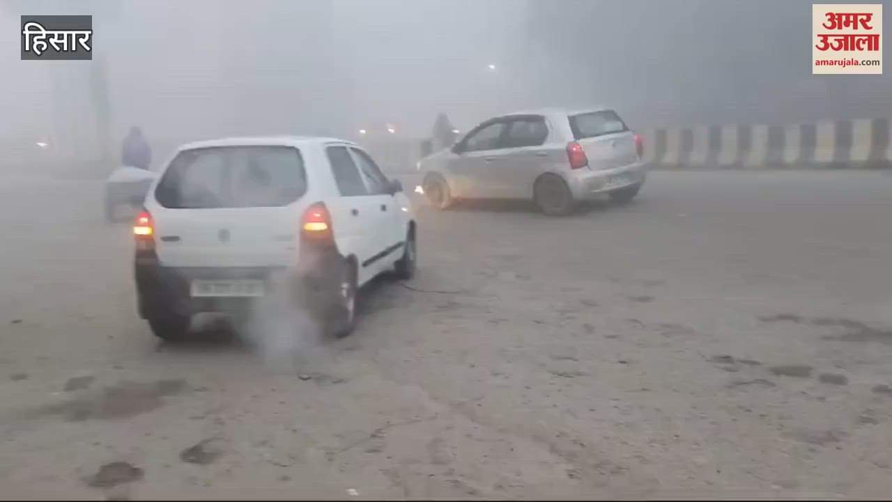 VIDEO : fog in hisar