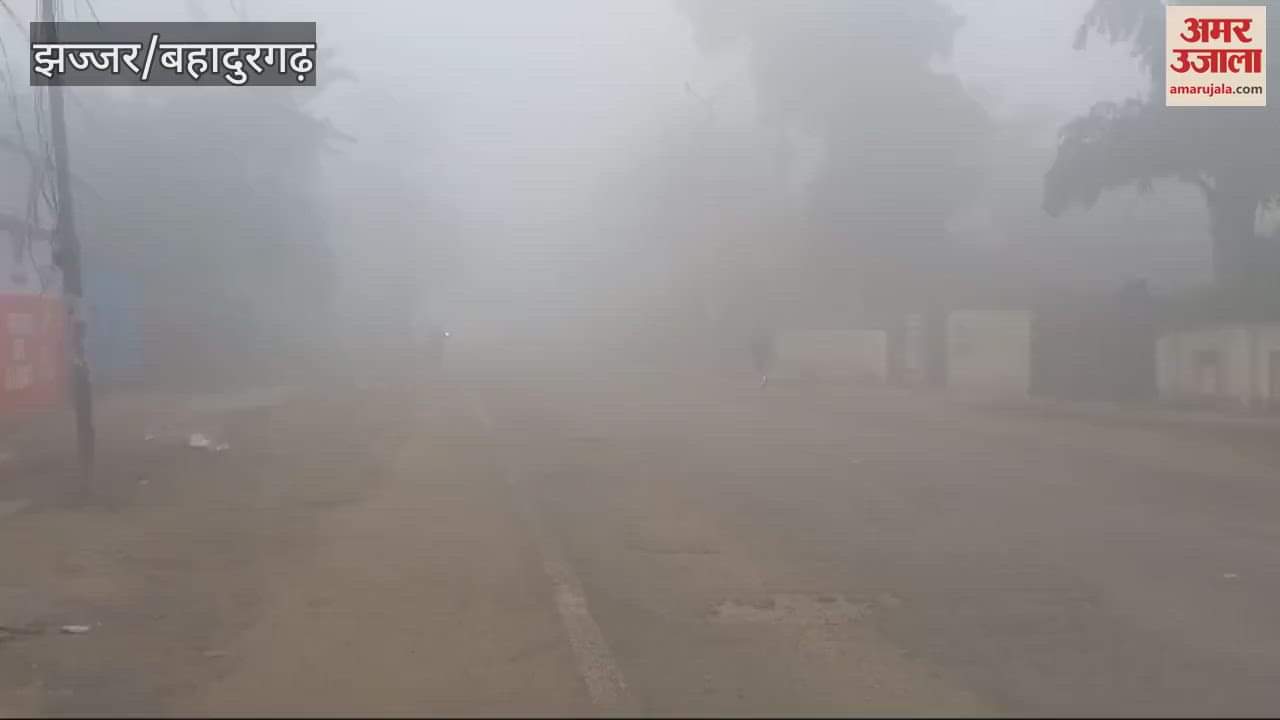 VIDEO : Fog in Jhajjar