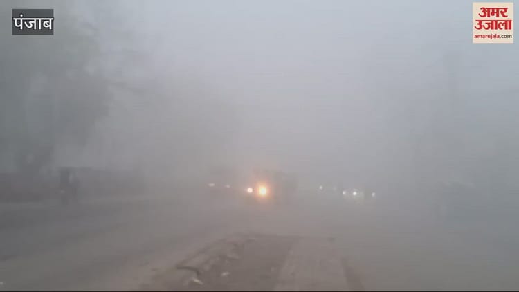 Video : Fog In Faridkot – Amar Ujala Hindi News Live
