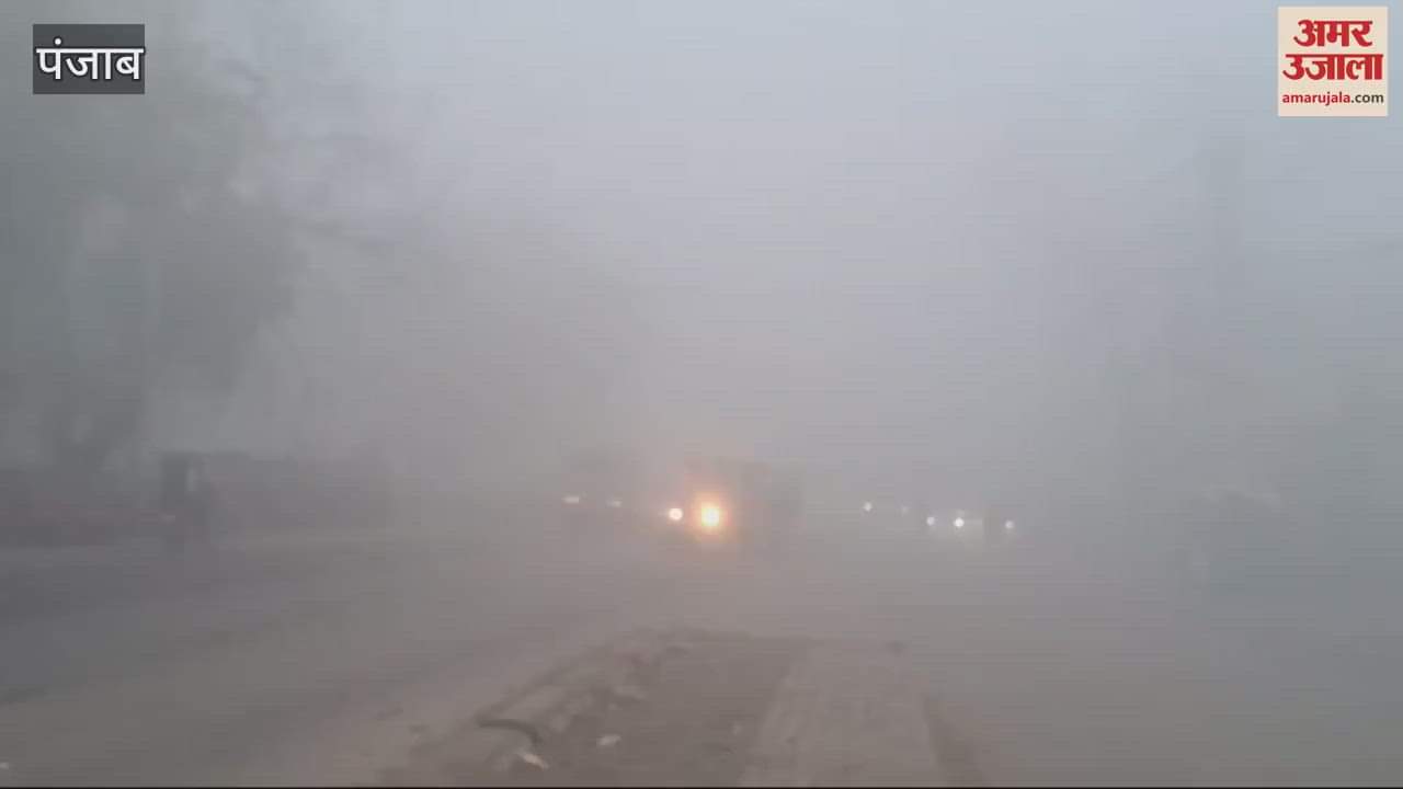 VIDEO : Fog in Faridkot