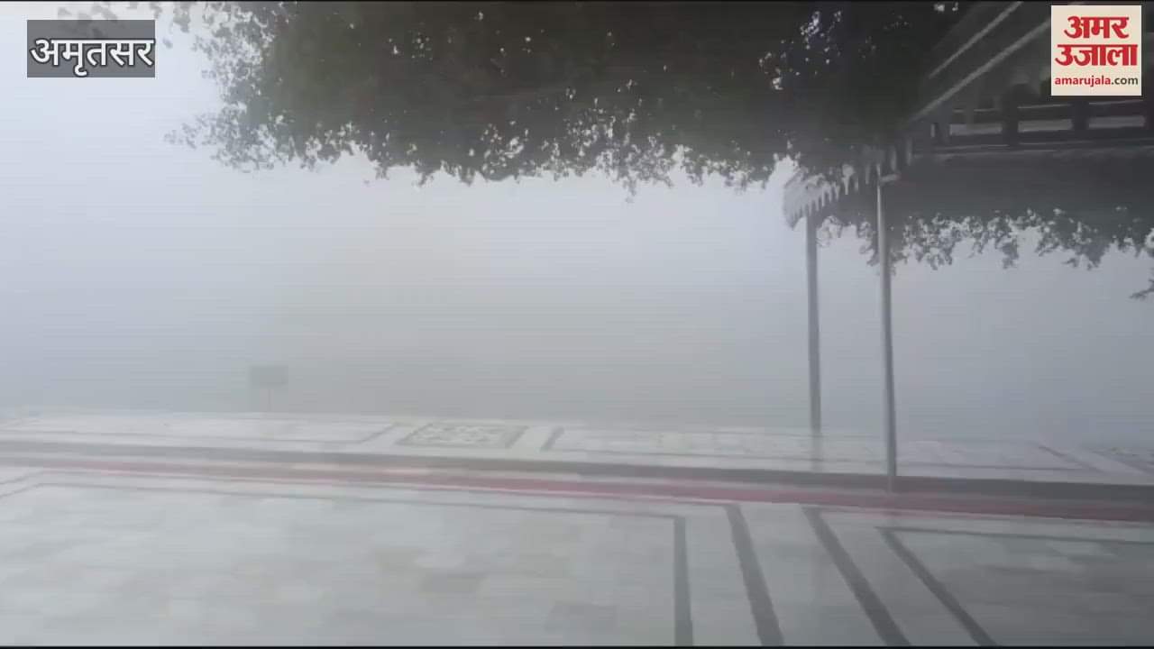 VIDEO : Fog in Amritsar