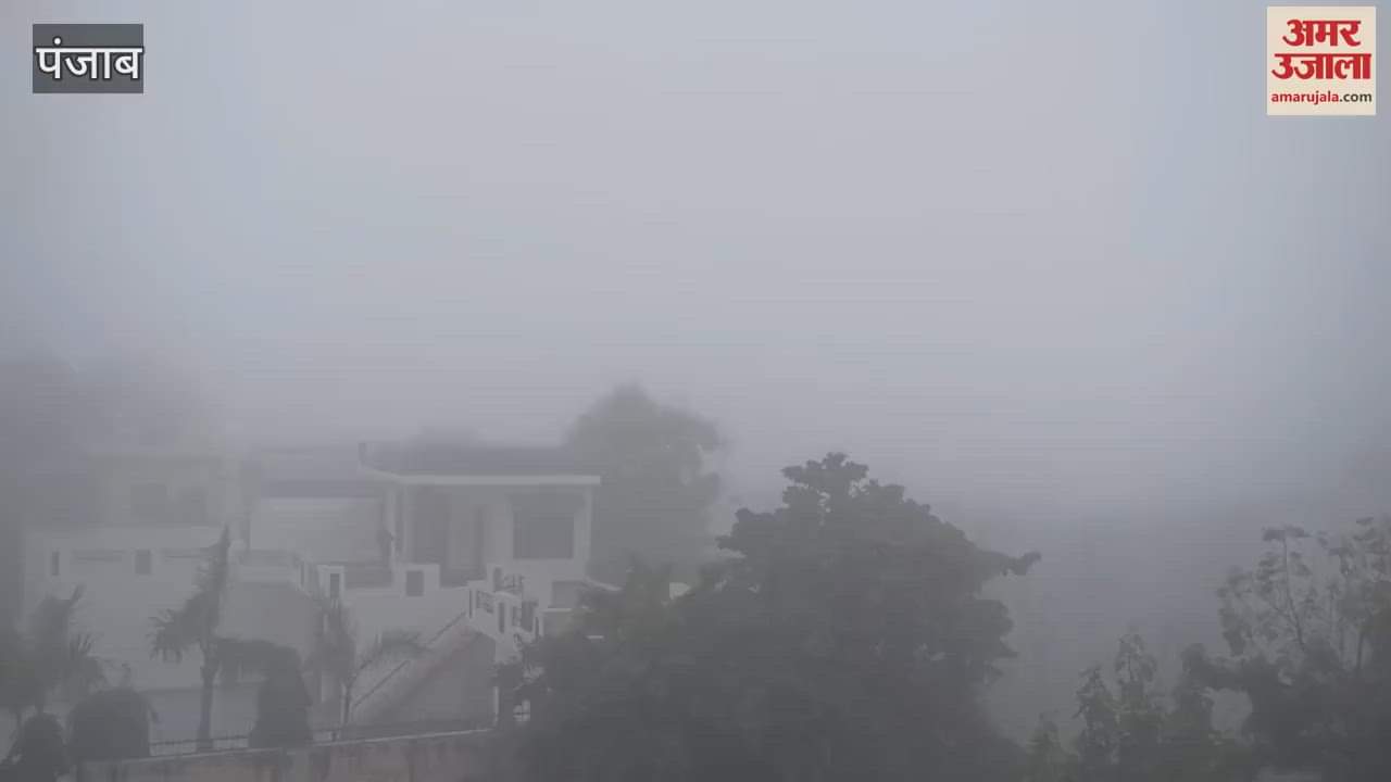 VIDEO : Fog in Kapurthala