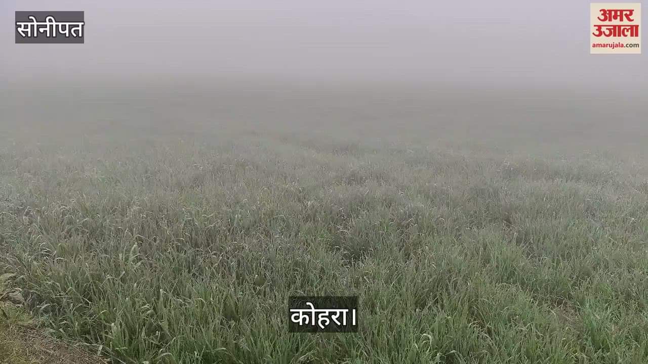 VIDEO : Fog hits Sonipat, visibility reduced to 20 meters
