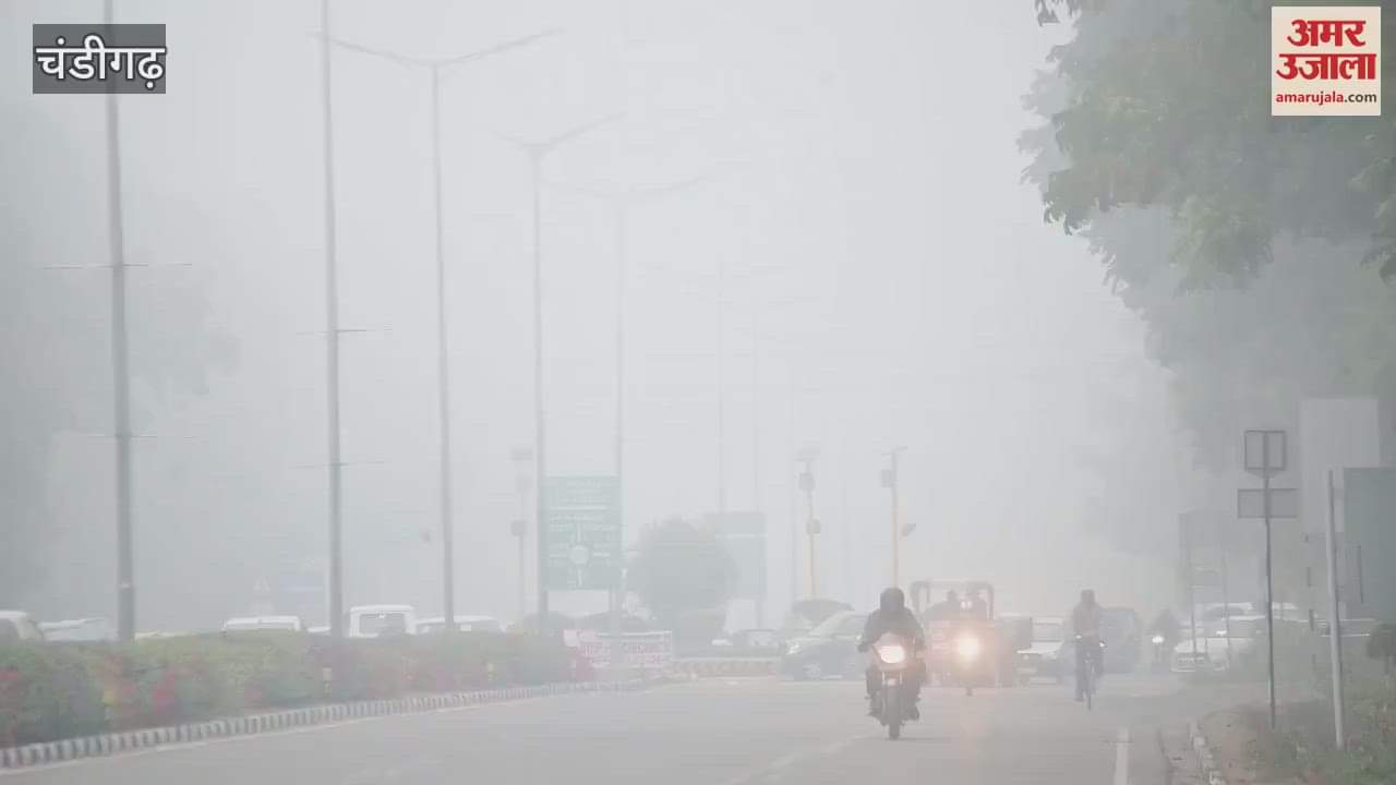 VIDEO : fog in chandigarh