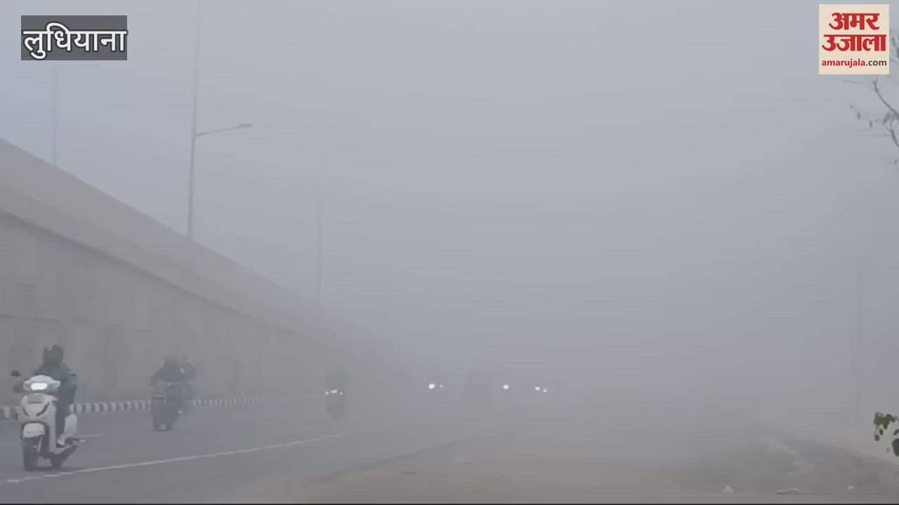 VIDEO : Fog in Ludhiana