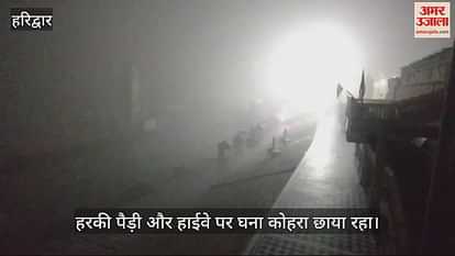 Video : Due To Fog Speed Of Vehicles On The Roads Has Slowed Down ...