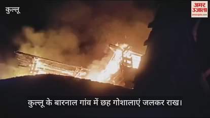 VIDEO : Six cow shelters burnt to ashes in Barnala village of Kullu