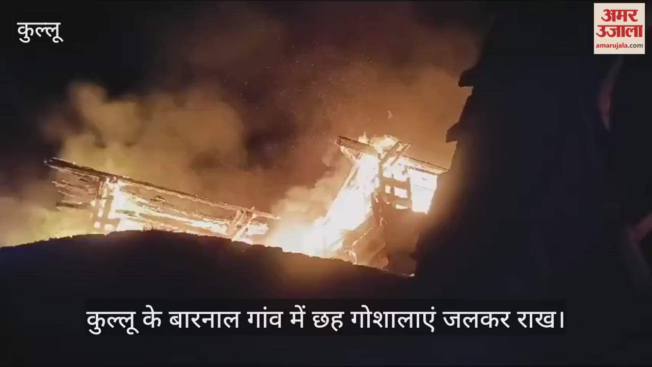 VIDEO : Six cow shelters burnt to ashes in Barnala village of Kullu