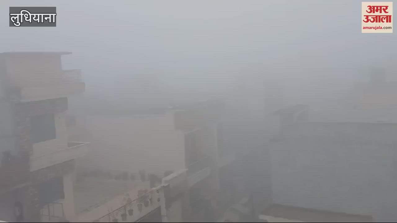 VIDEO : Fog in Ludhiana