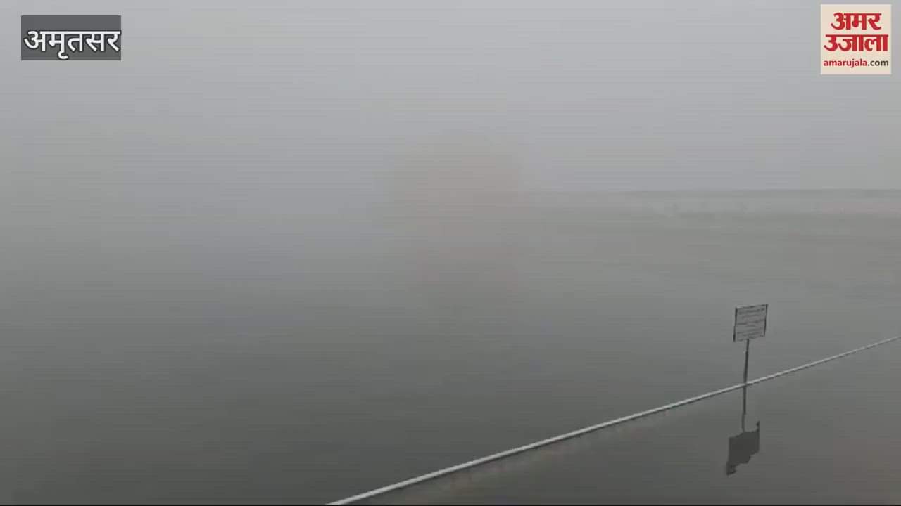 VIDEO : On the occasion of the birthday of Dasam Pita Shri Guru Gobind Singh, devotees reached Sri Harmandir Sahib in Amritsar to pay obeisance.