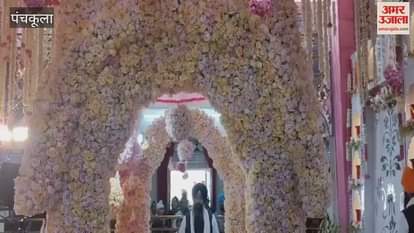 VIDEO : On the occasion of Prakash Parv of Shri Guru Gobind Singh, devotees gathered in Nada Sahib Gurudwara