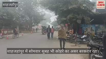 VIDEO : शाहजहांपुर में ओस की तरह बरसा कोहरा, सर्द हवा ने छुड़ाई कंपकंपी