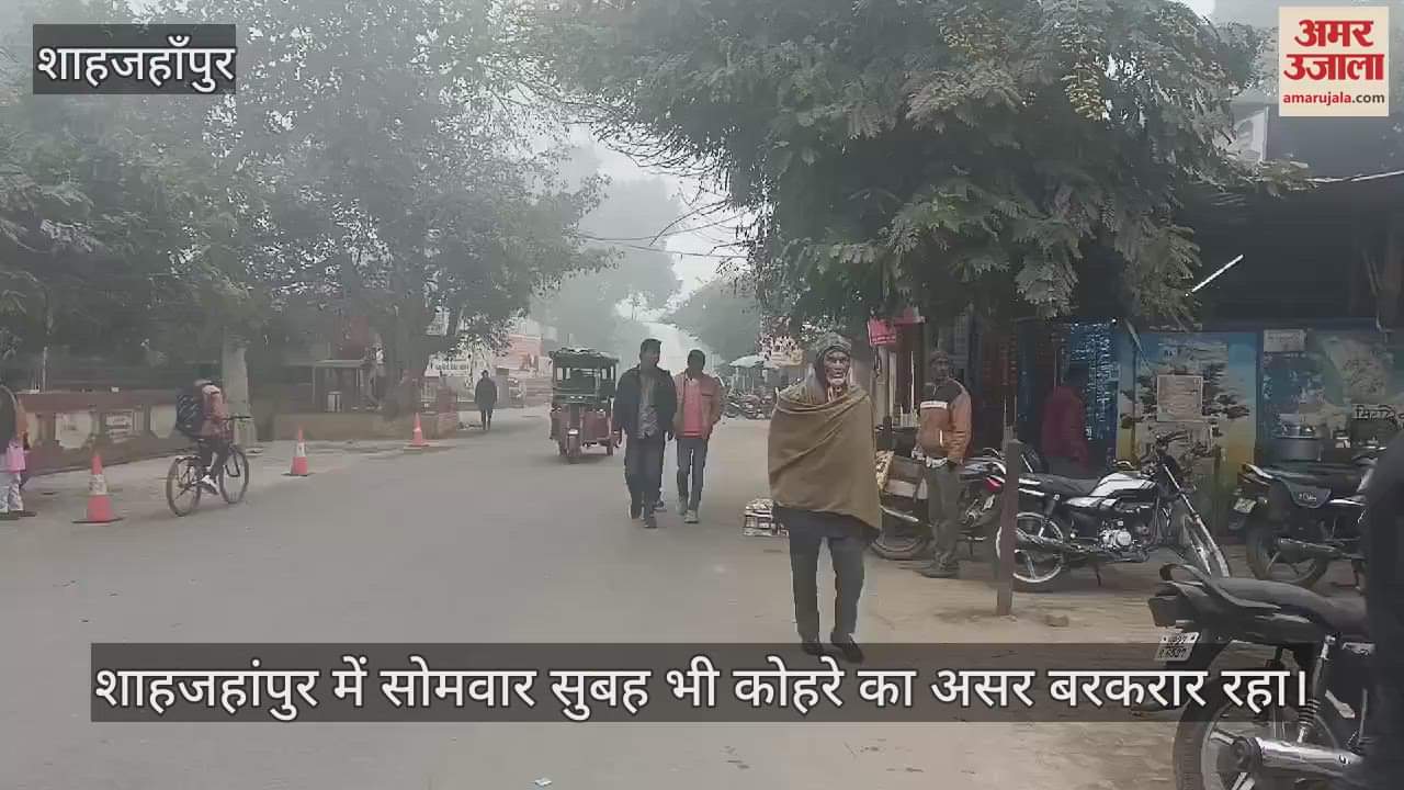 VIDEO : शाहजहांपुर में ओस की तरह बरसा कोहरा, सर्द हवा ने छुड़ाई कंपकंपी