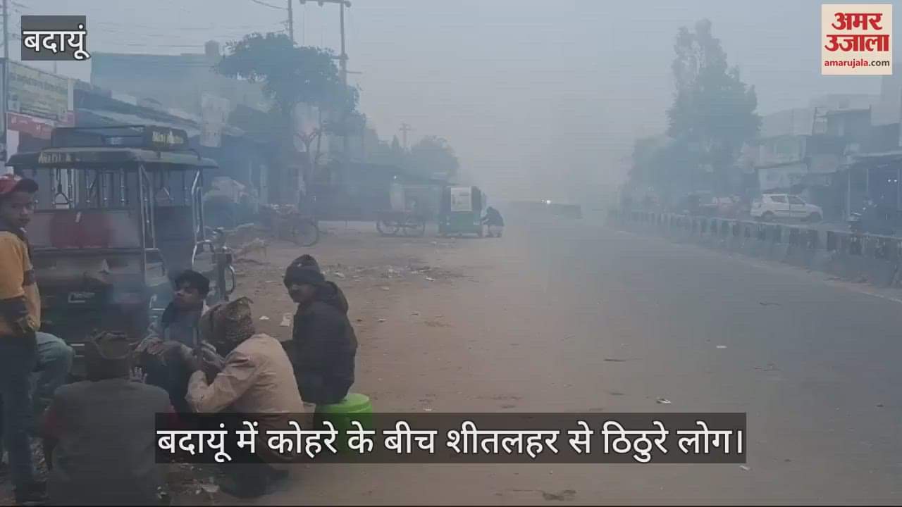 VIDEO : बदायूं में कोहरे के बीच शीतलहर से ठिठुरे लोग, धूप रही बेअसर