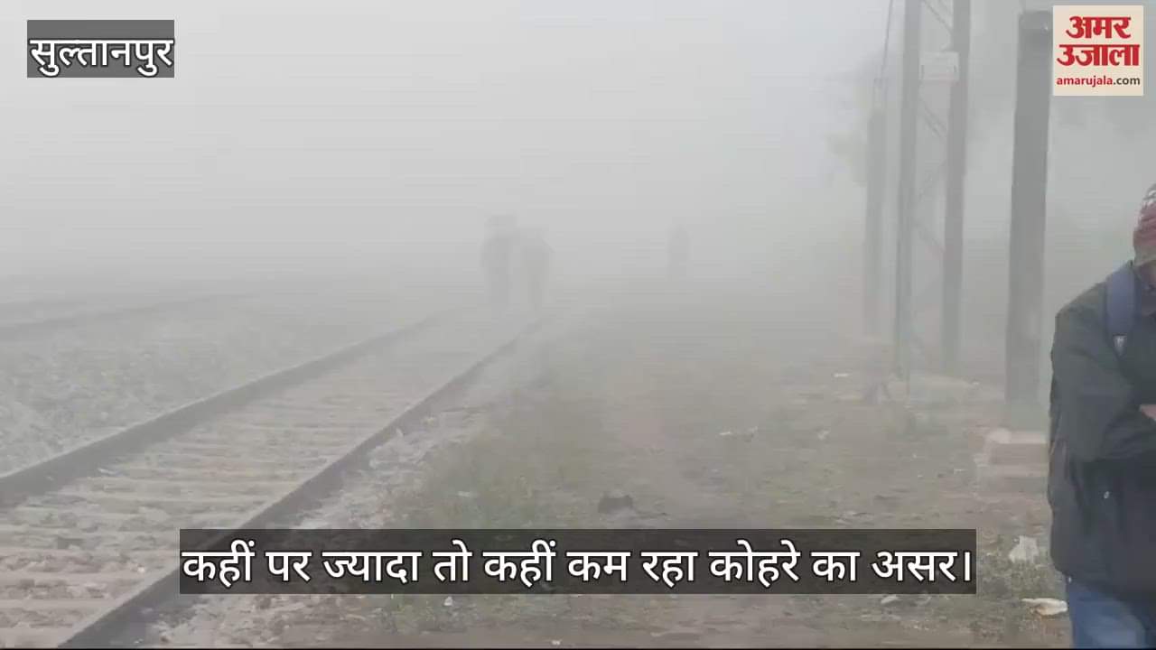 VIDEO : Sultanpur: कोहरे व ठंड से जन जीवन अस्त व्यस्त, ज्यादातर जगहों पर दृश्यता 10-15 मीटर की रही