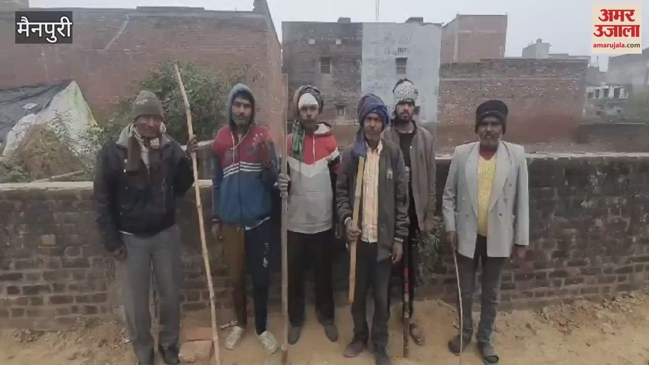 VIDEO : आवारा पशुओं का आतंक, प्रशासन की अनदेखी से जनता में आक्रोश