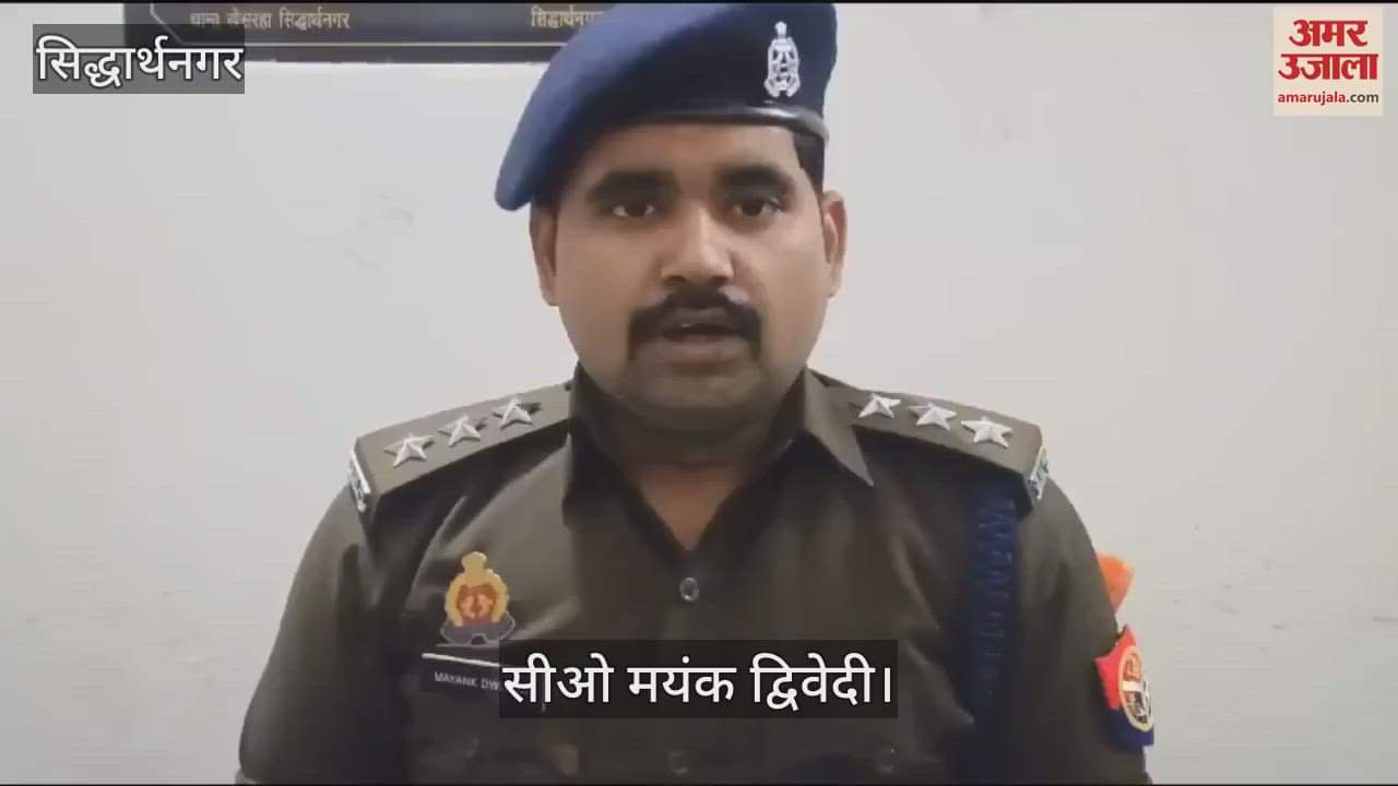 VIDEO : 2 Nilgai shot, 5 in custody