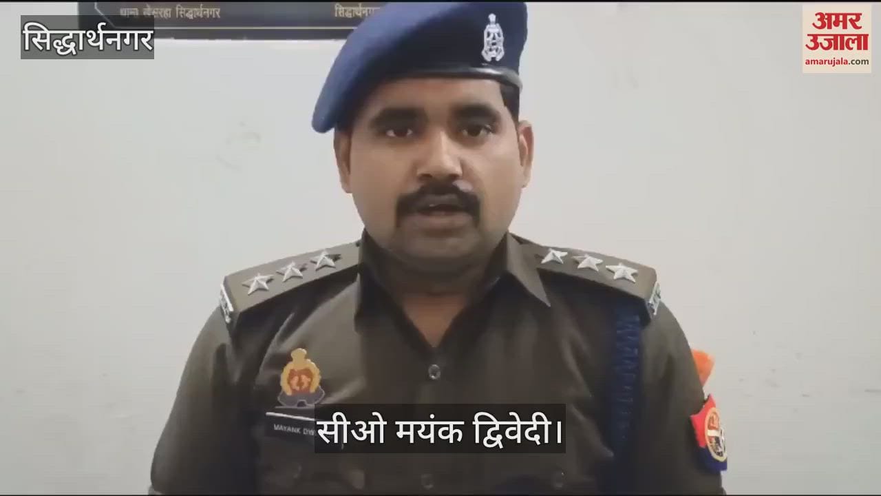 VIDEO : 2 Nilgai shot, 5 in custody