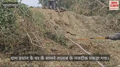 VIDEO : Sultanpur: ग्राम प्रधान के घर के सामने पकड़ा गया अजगर, ग्रामीणों को दी गई हिदायत