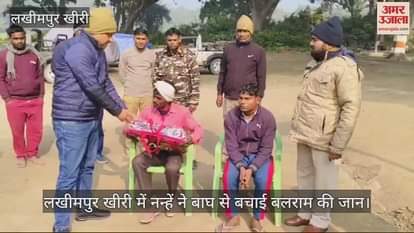 VIDEO : लखीमपुर खीरी में नन्हें ने बाघ से बचाई बलराम की जान