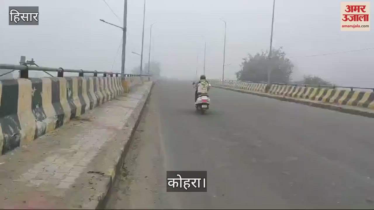 VIDEO : Fog prevailed in Hisar since morning, cold made people miserable