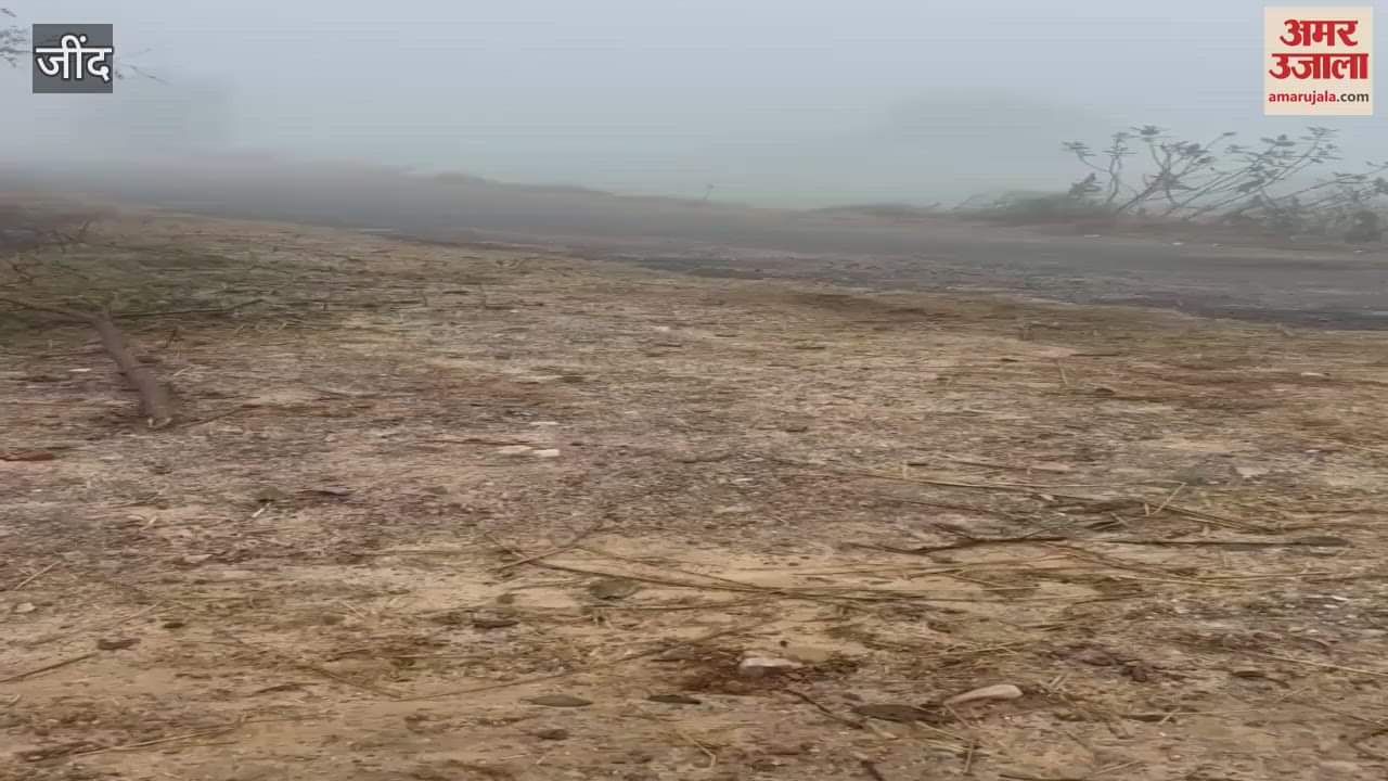 VIDEO : Due to fog, a car landed in a field in Jind's Julana, miscreants stole the stuff kept in car