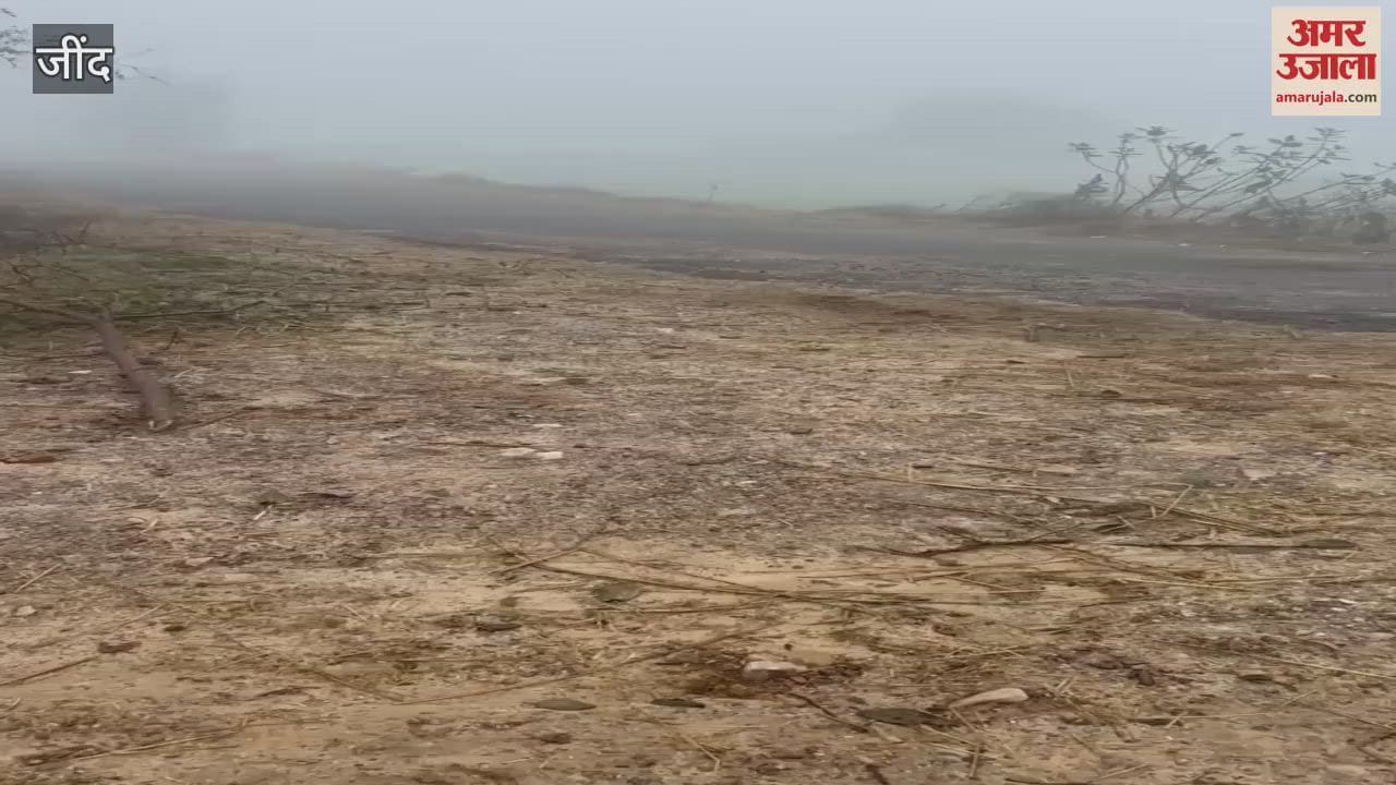 VIDEO : Due to fog, a car landed in a field in Jind's Julana, miscreants stole the stuff kept in car