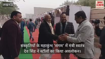 VIDEO : संस्कृतियों के महाकुंभ 'संगम' में मंत्री स्वतंत्र देव सिंह ने स्टॉलों का किया अवलोकन