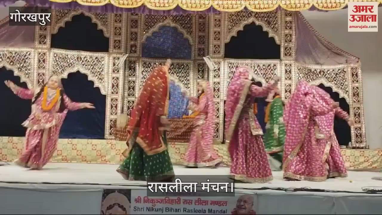 VIDEO : Raasleela was staged in Radhababa Mahotsav