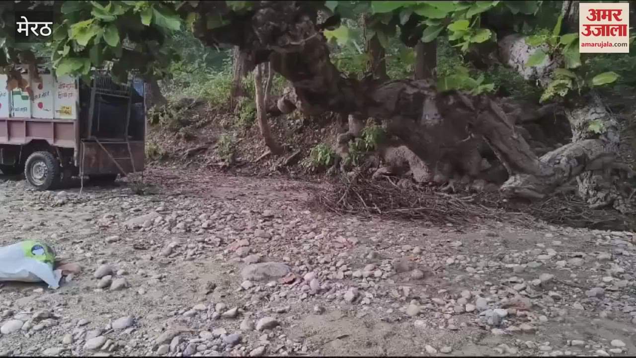 VIDEO : Meerut: Trapped leopard released into the forest