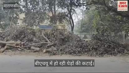 VIDEO : Tree felling in BHU piles piled up in front of Agricultural Science Institute