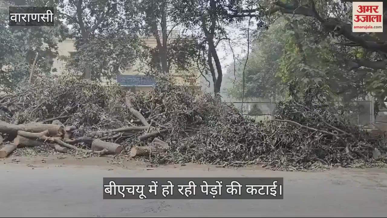 VIDEO : Tree felling in BHU piles piled up in front of Agricultural Science Institute